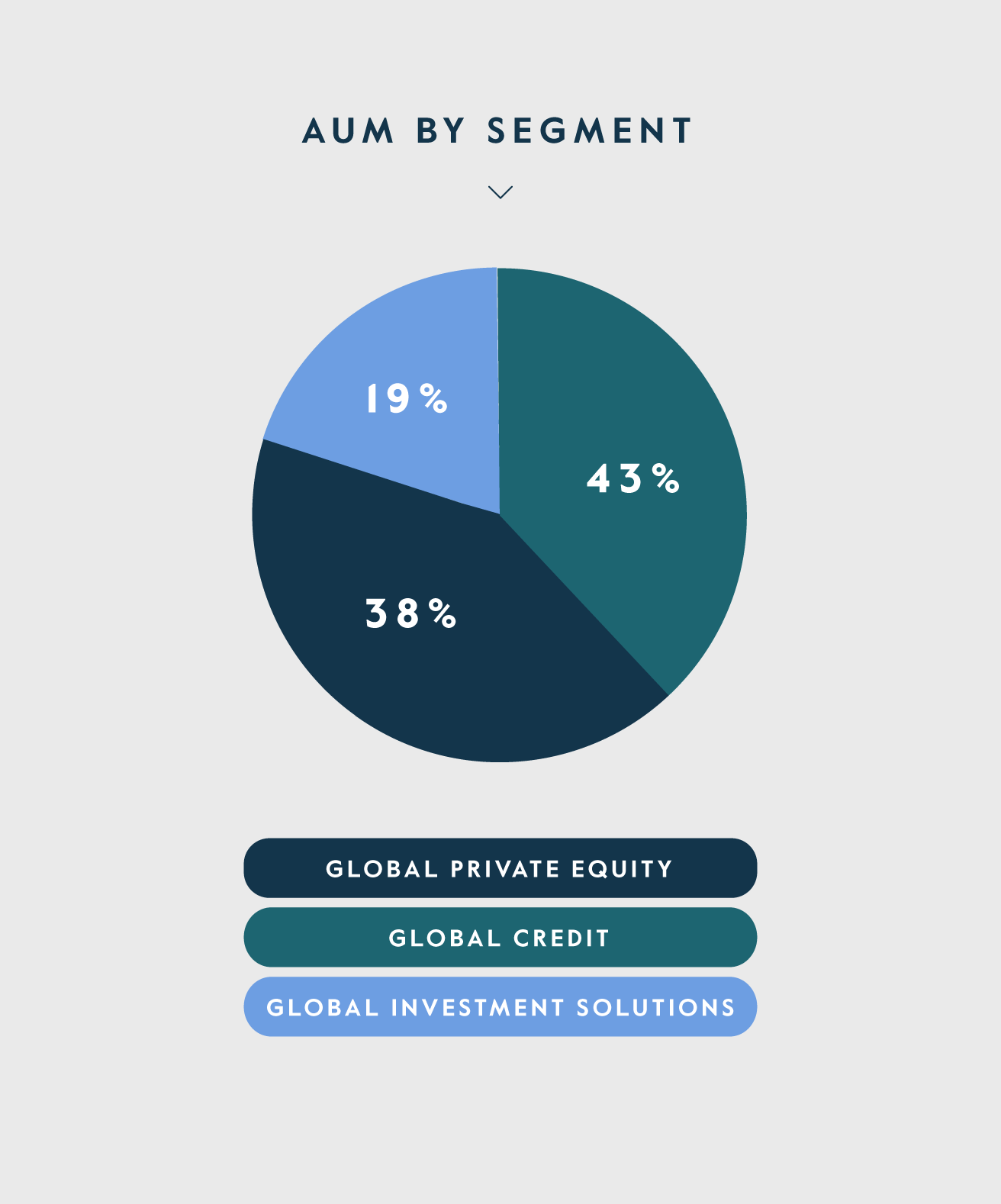 AUM by segment Q3 2024 english